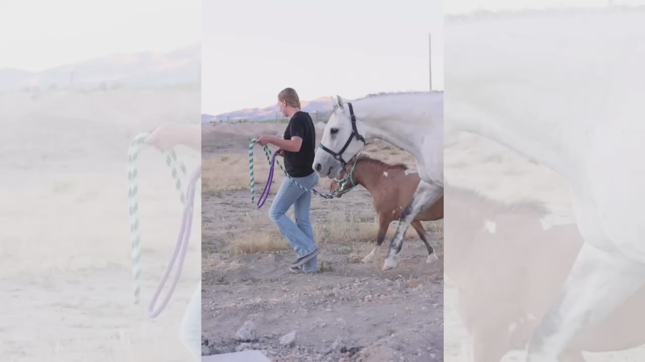 Load video: 